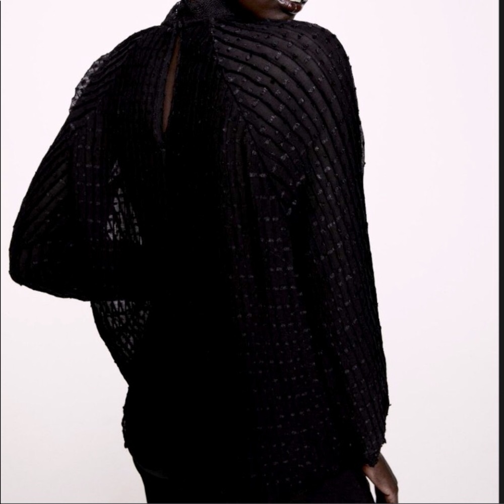 Swiss dot sheer blouse - Picture 6 of 8